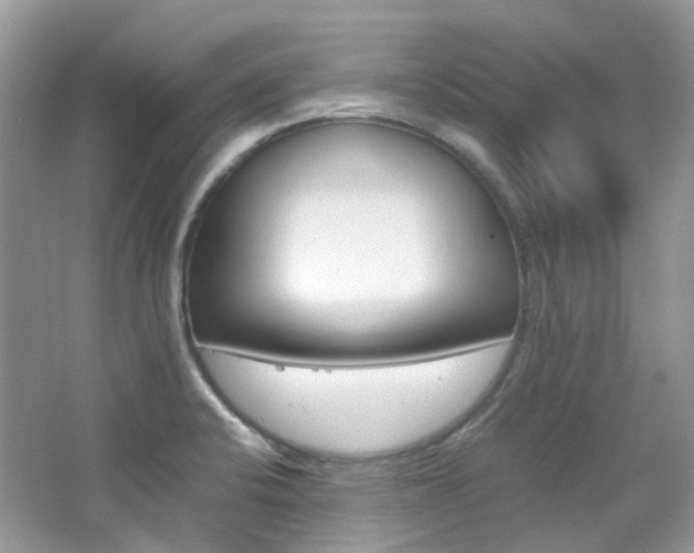 X0000065241424200602170942