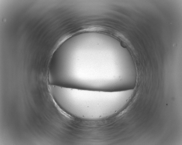 X0000065241425200602170942
