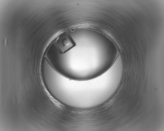 X0000065241426200602170942