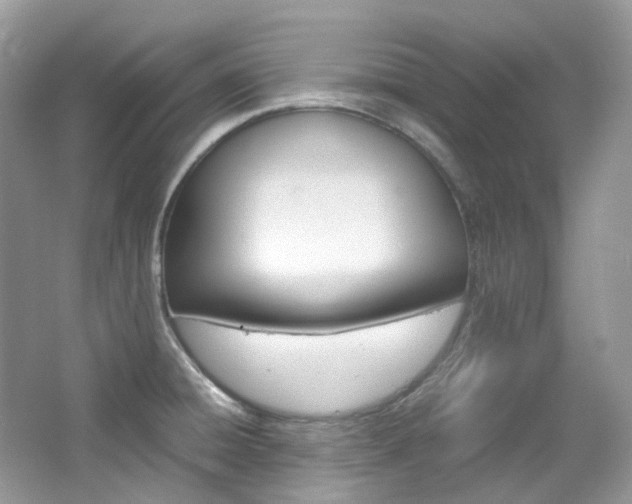 X0000065241428200602170942