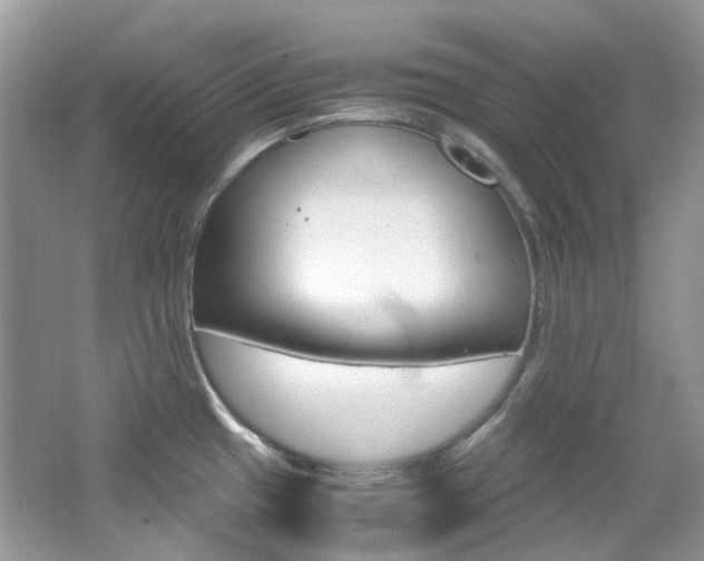 X0000065241433200602170943