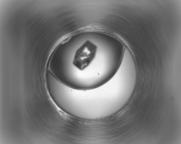 X0000065241434200602170943