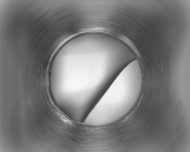 X0000065241436200602170943