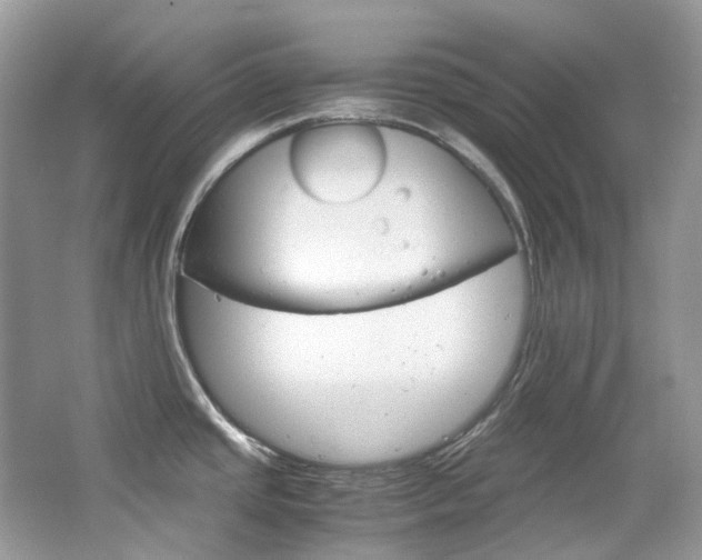 X0000065241437200602170943