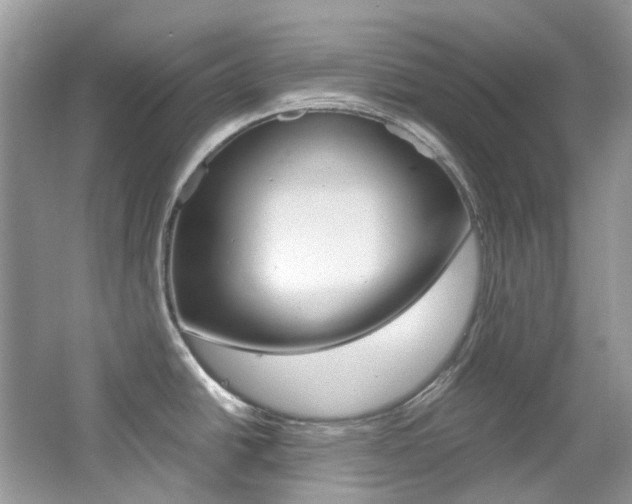 X0000065241438200602170943