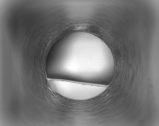 X0000065241441200602170942