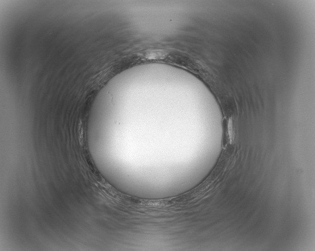 X0000065241443200602170942