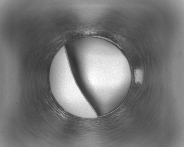 X0000065241444200602170942