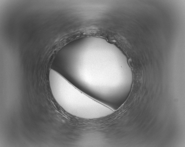 X0000065241445200602170942