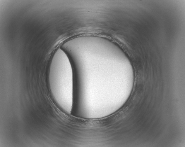 X0000065241451200602170942