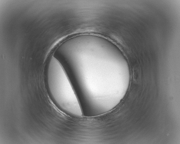 X0000065241452200602170942