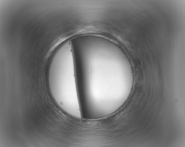 X0000065241453200602170942
