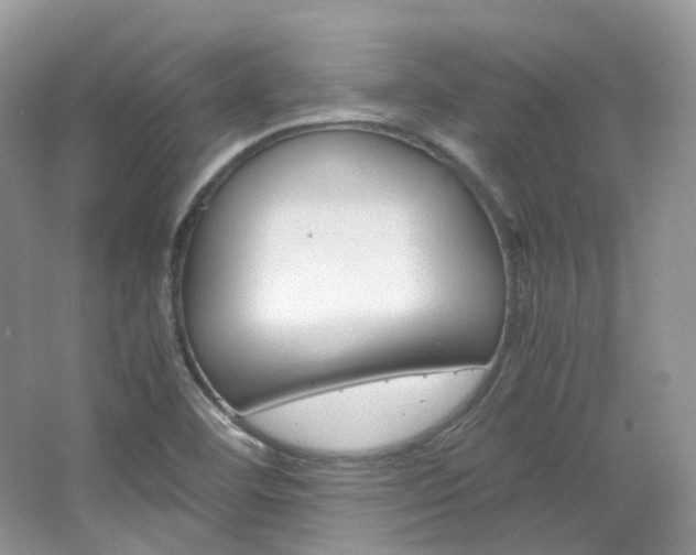 X0000065241460200602170942