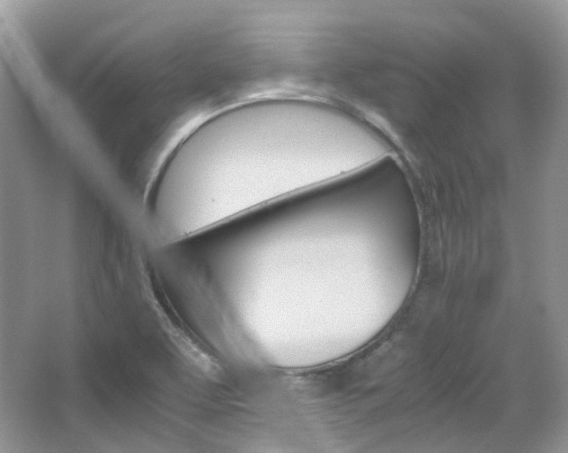 X0000065241463200602170941
