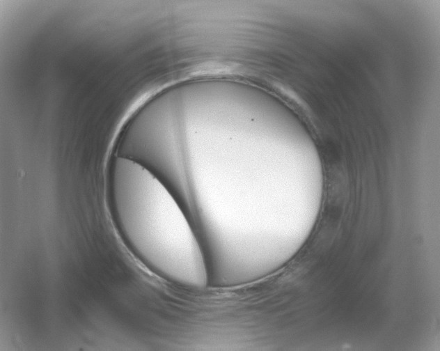 X0000065241467200602170941