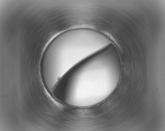 X0000065241468200602170941