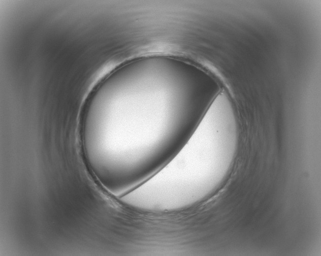 X0000065241469200602170941