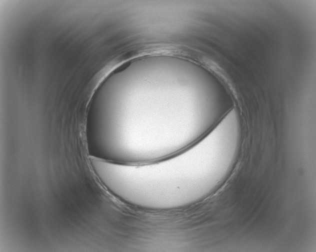 X0000065241481200602170941