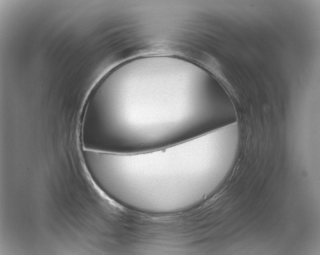 X0000065241484200602170941