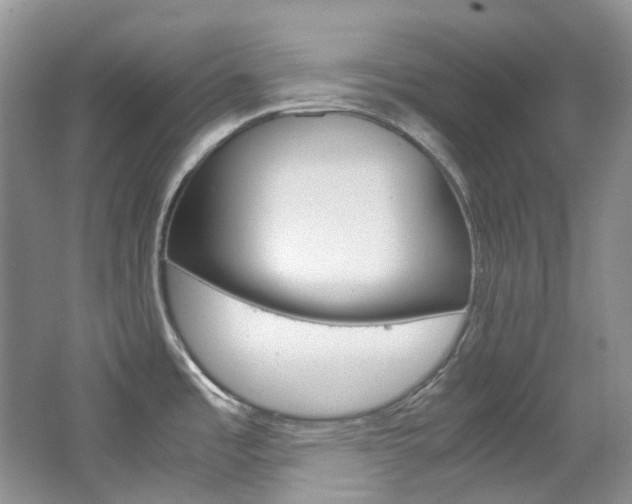 X0000065241485200602170941