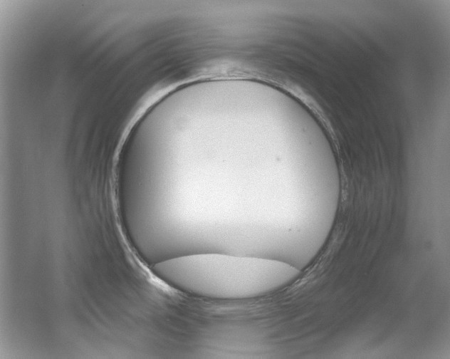 X0000065241486200602170941