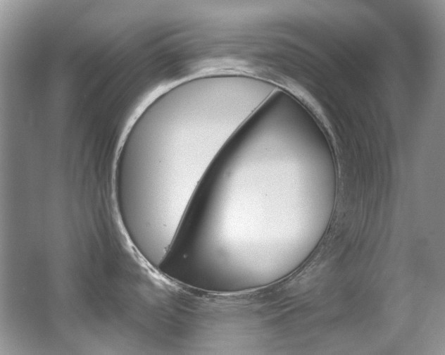 X0000065241488200602170941