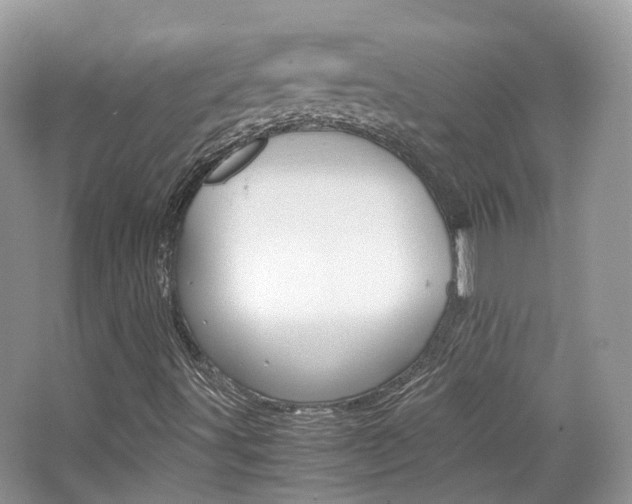 X0000065241491200602170940