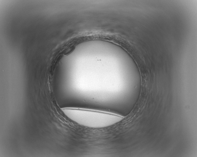 X0000065241493200602170940