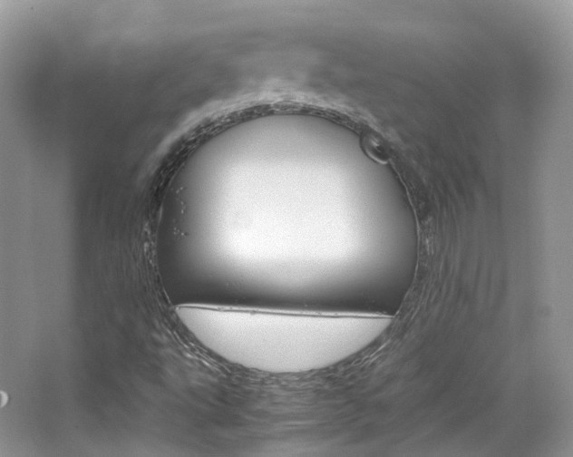 X0000065241495200602170940