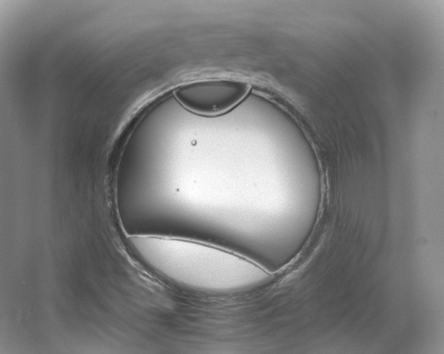 X0000065241501200602170940