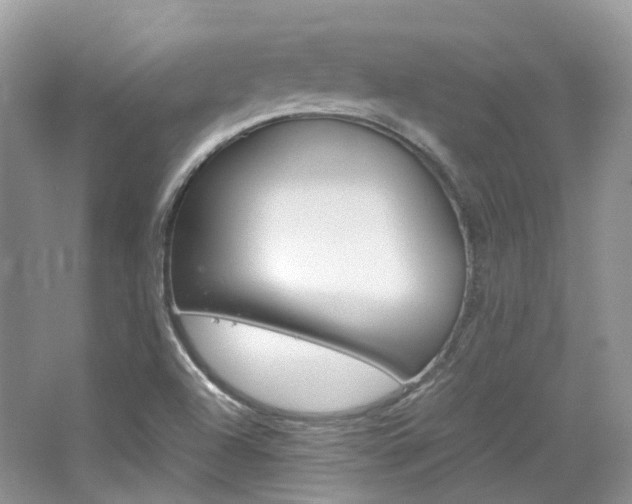 X0000065241504200602170940