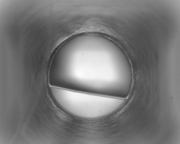 X0000065241505200602170941