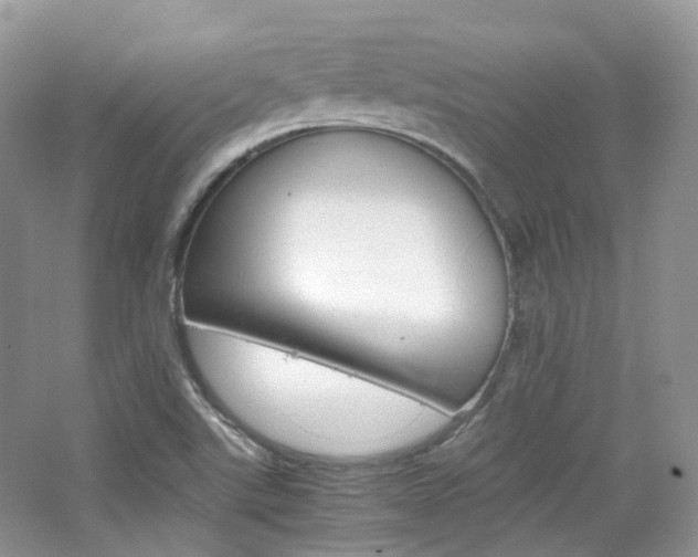 X0000065241507200602170941