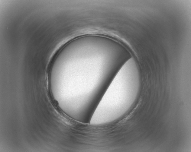 X0000065241509200602170941
