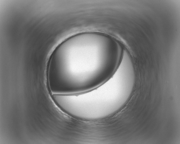 X0000065241512200602170941