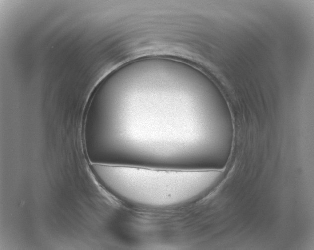 X0000065241513200602170941
