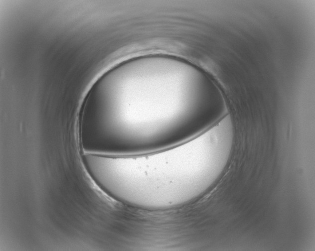 X0000065241516200602170941