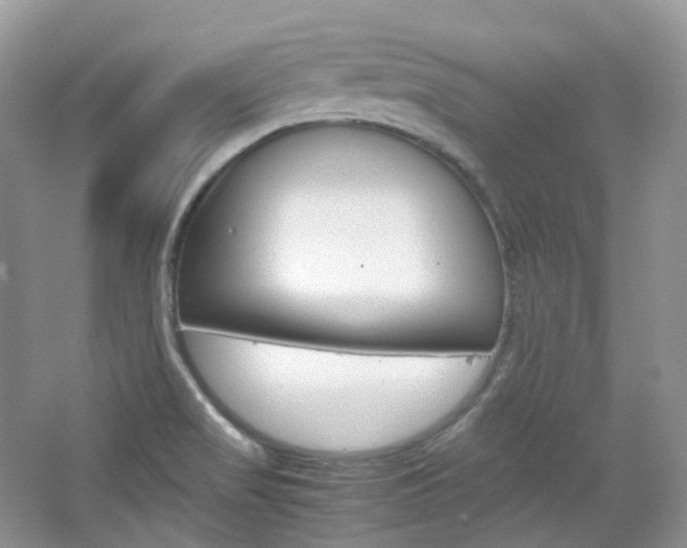 X0000065241517200602170941