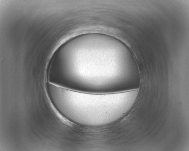 X0000065241523200602170941
