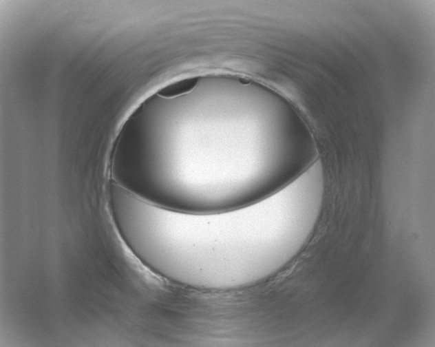 X0000065241524200602170941