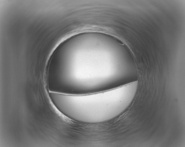 X0000065241531200602170941