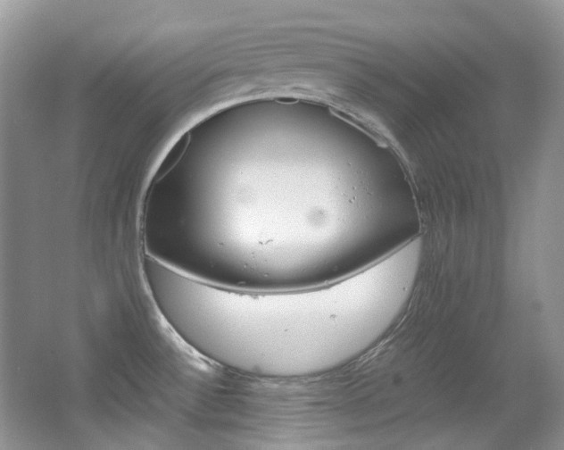 X0000065241532200602170941