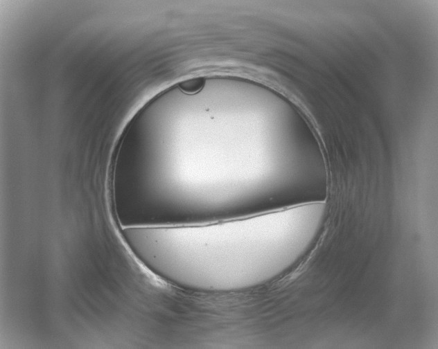 X0000065241533200602170941