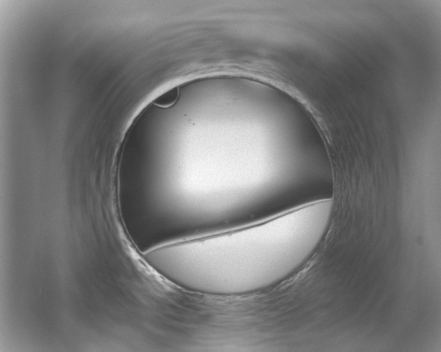 X0000065241534200602170941