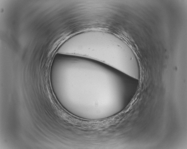 X0000065240001200602171436