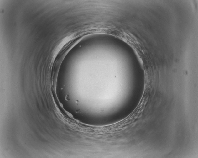 X0000065240003200602171436