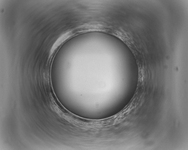 X0000065240004200602171436