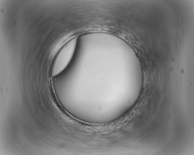 X0000065240005200602171436