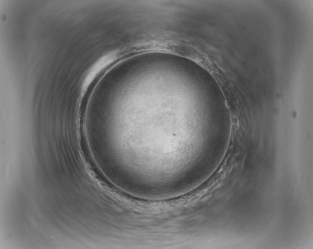 X0000065240006200602171436