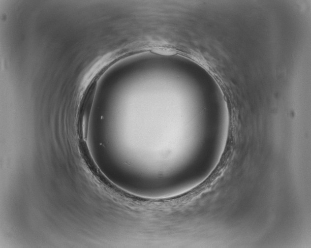 X0000065240007200602171436